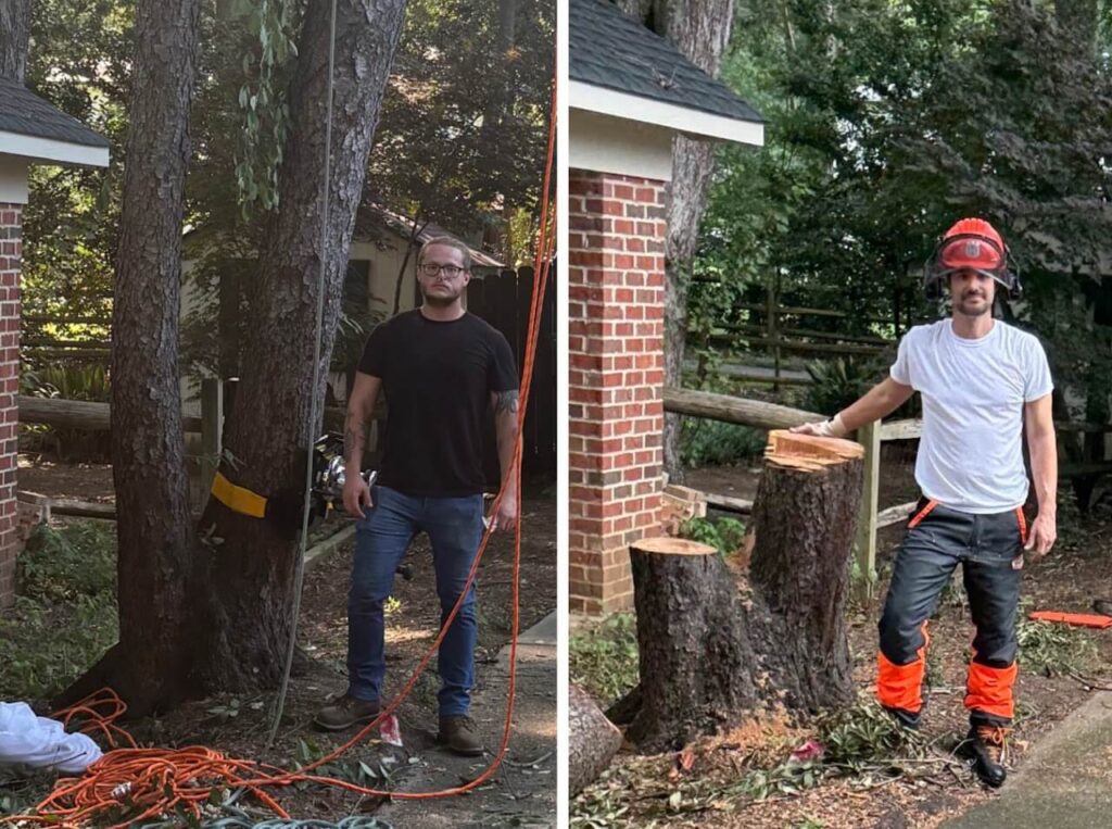 Black cherry tree services in Charlotte NC by MTM Tree Services