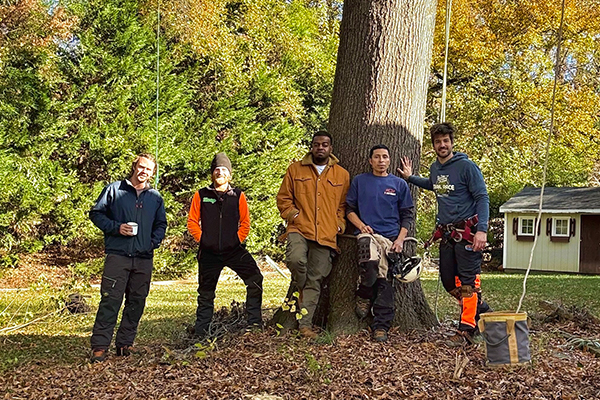 The experts of MTM Tree Services are ready for tree removal and more in Charlotte, NC.