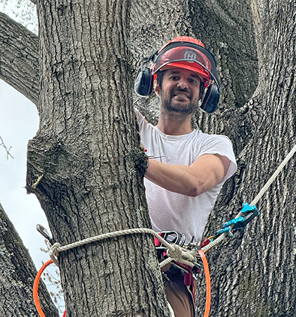 Michael Fiery owner and climber of MTM Tree Services Charlotte NC