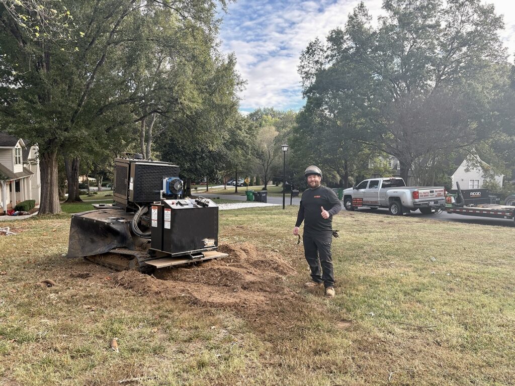 Removing a tree stump in Charlotte NC