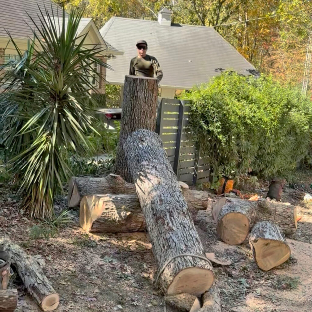 Expert tree removal in South Charlotte and beyond.