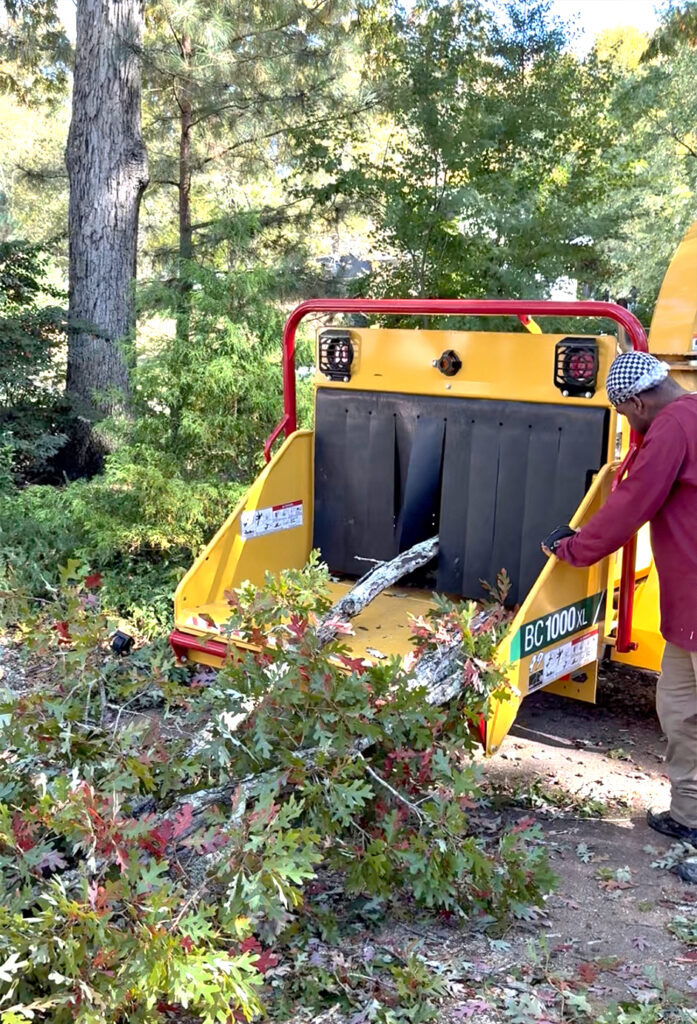 Clean up is a given with MTM Tree Services.
